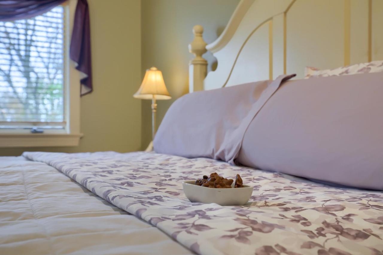 Hammer Creek Hideaway B&B 利蒂茨 外观 照片