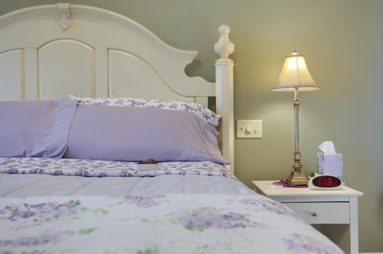 Hammer Creek Hideaway B&B 利蒂茨 外观 照片