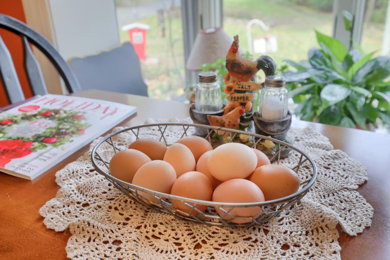 Hammer Creek Hideaway B&B 利蒂茨 外观 照片